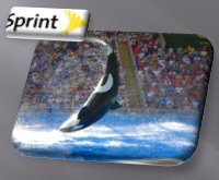 Sprint Rollout