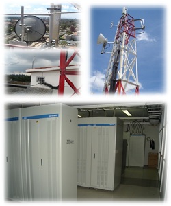 Network Rollout